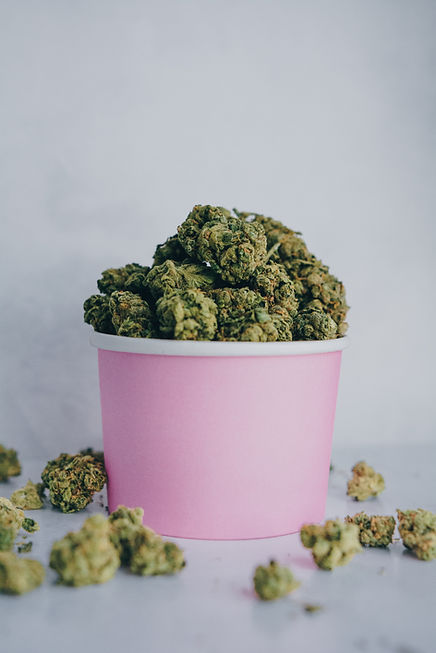 Cannabis für Anfänger: Sanfter Einstieg & die richtige Dosierung