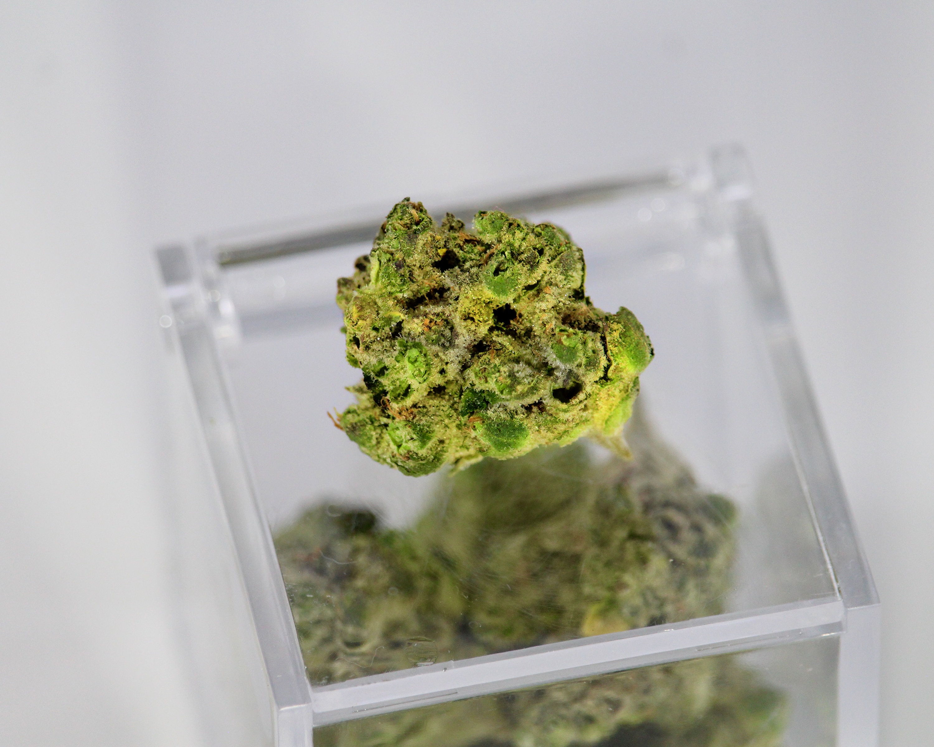 Wie Ärzte Cannabis verschreiben dürfen (Update 2025)