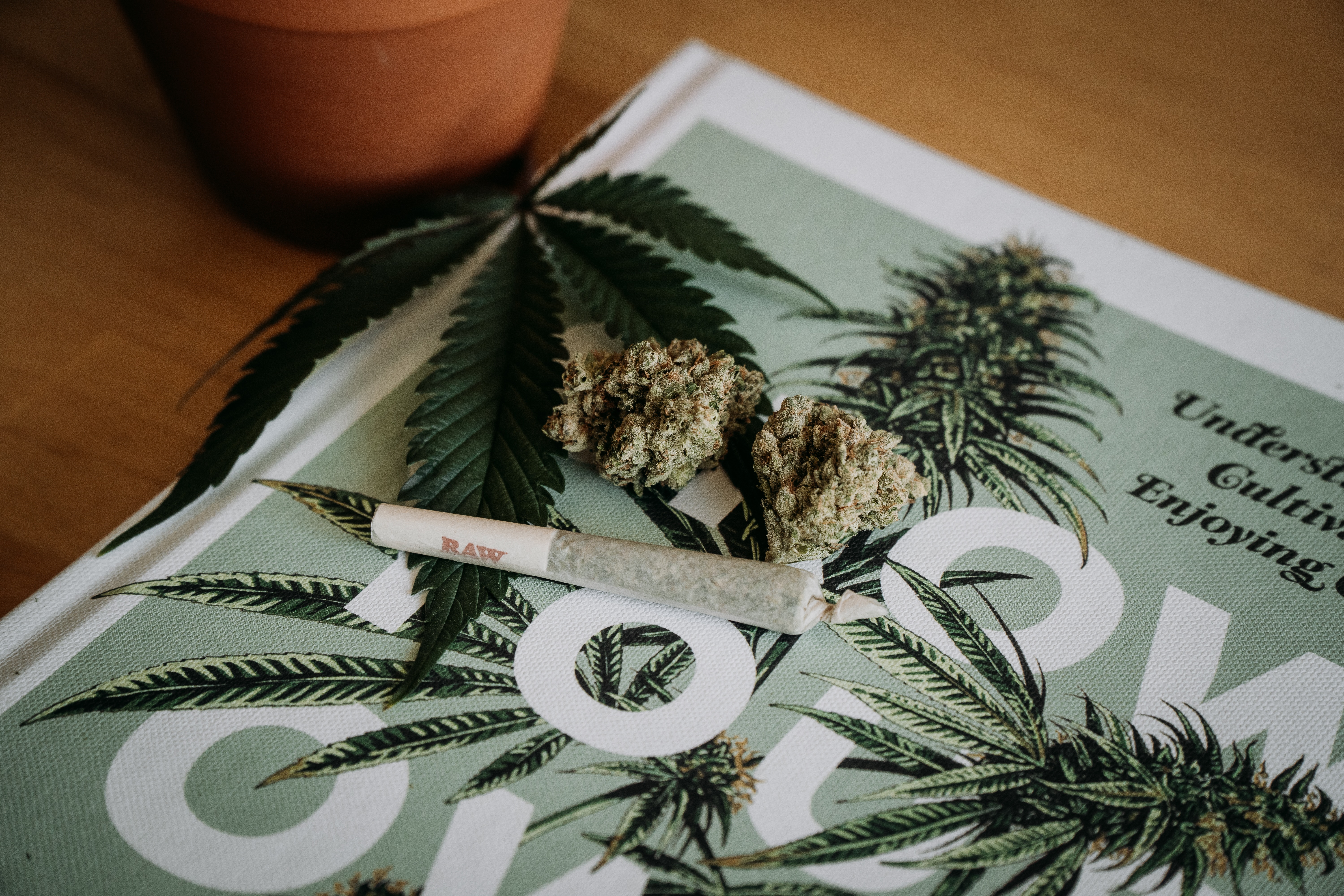 Was Sie über Marihuana wissen sollten